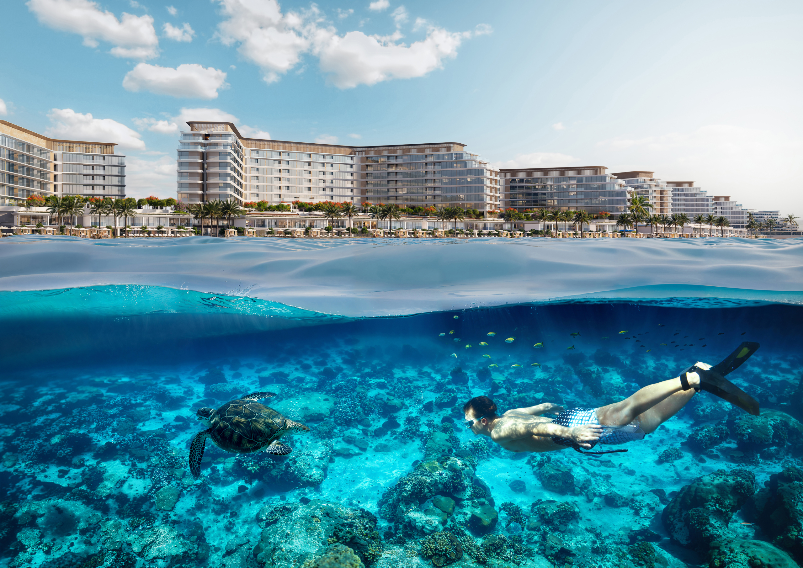 Beachfront Property Investment