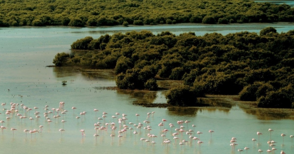 Ajman waterfront community